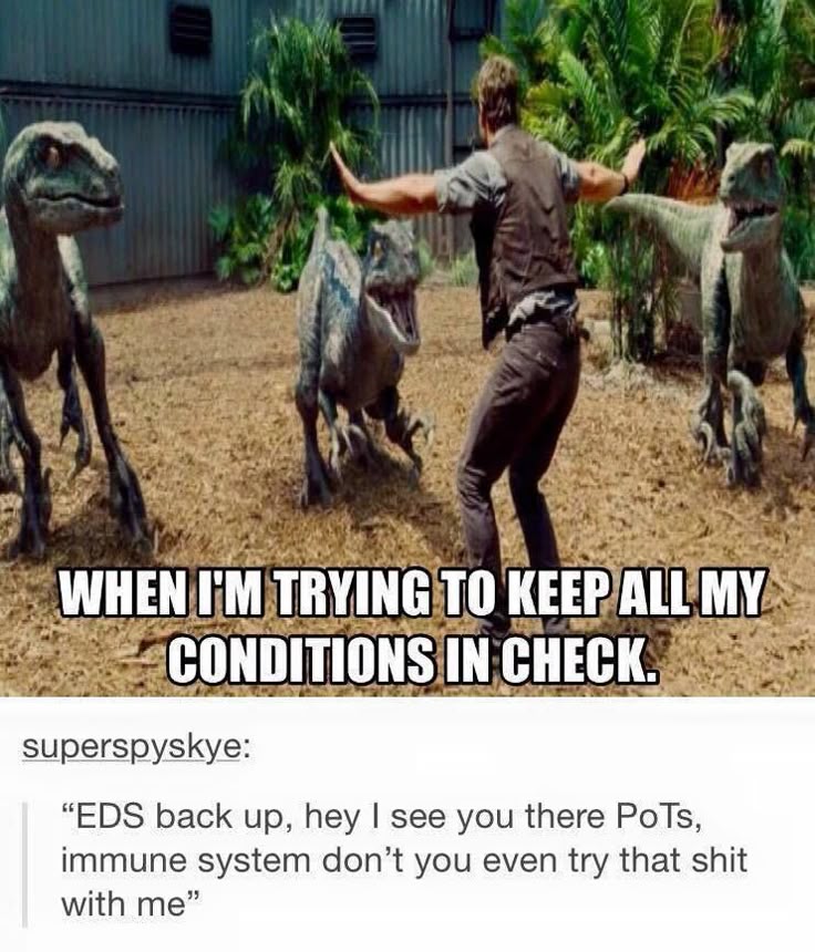 best 25 invisible illness ideas on pinterest chronic pain, ms dd001f7fb6b347b904cba90d9cd5c97c chiari endometriosis best 25 invisible illness ideas on pinterest chronic pain, ms,Stereotype Meme Chronic Illness