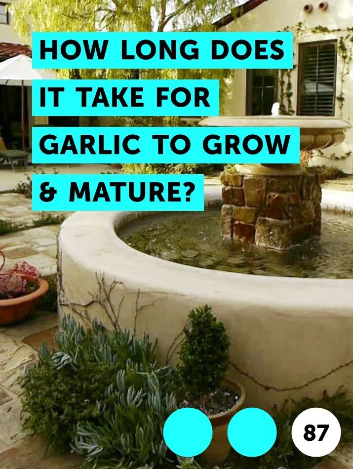 Pin On Growing Garlic Pin On Growing Garlic