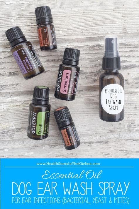Treating Ear Mites In Dogs With Essential Oils Treating Ear Mites In Dogs With Essential Oils