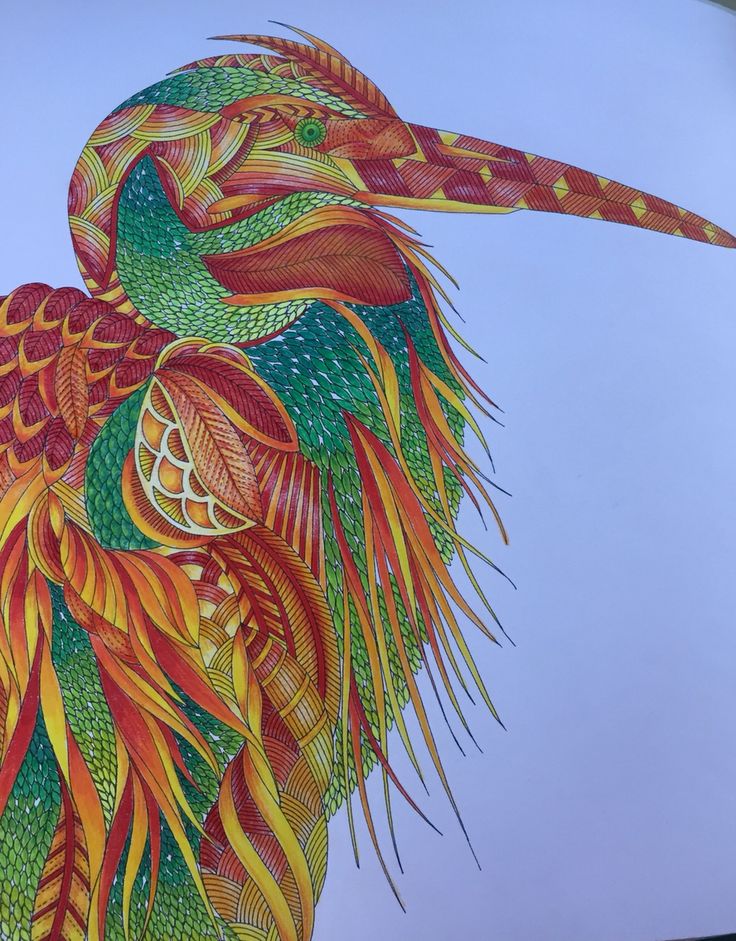 Stork From Millie Marotta Tropical Wonderland Coloured In Primsacolour Bold And Beautiful Adult ColoringColoring BooksHeronAnimal
