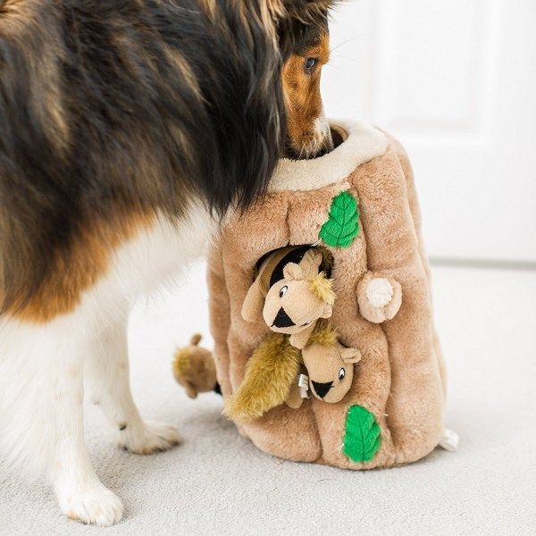 Hide A Squirrel Plush Squeaking Toys For Dogs Best Offer Toys