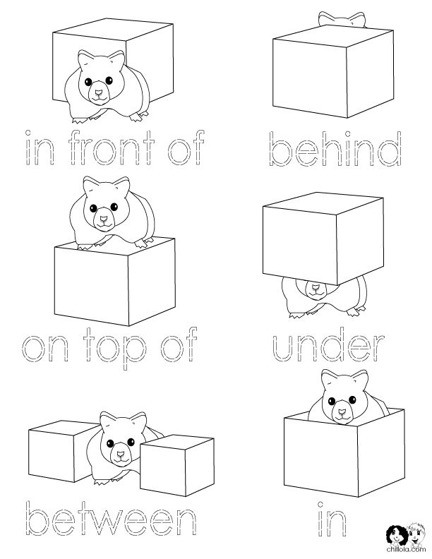 Worksheet Preposition Next To Kindergarten Worksheet 50 best maths prepositionspositional language images on position words worksheets for kindergarten