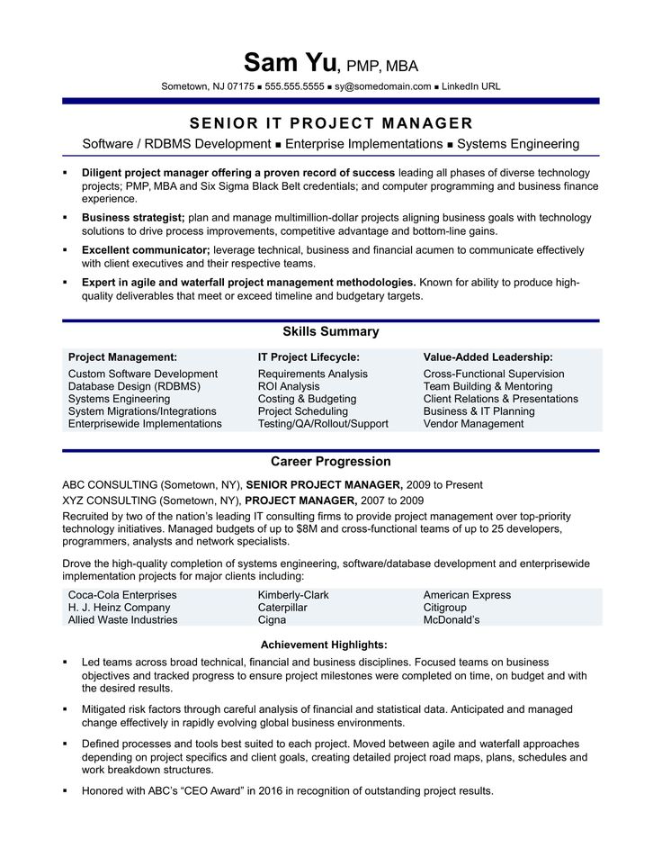 experienced it project manager