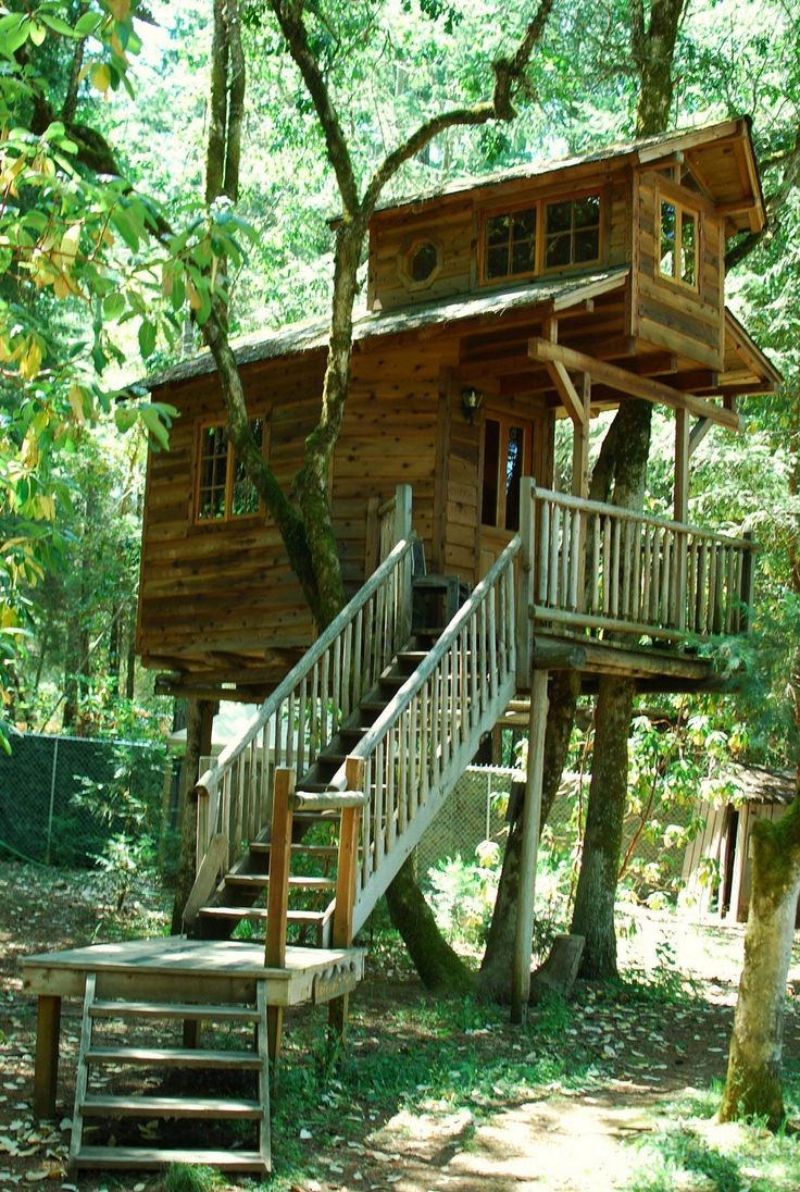 my treehouse How to build a treehouse in the backyard make a world-class backyard tree house that will stand the test of time would my kids take to the treehouse. my treehouse How to build a treehouse in the backyard make a world-class backyard tree house that will stand the test of time would my kids take to the treehouse.