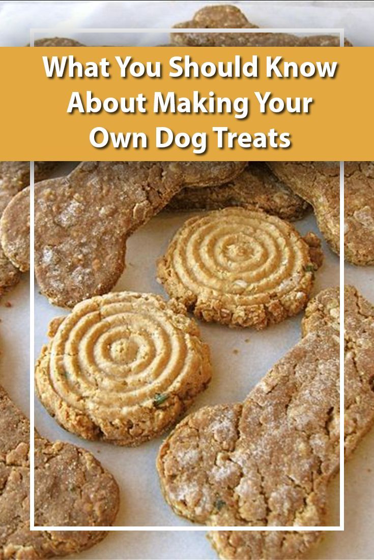 28 Dog Food Recipes Using Natural Healthy Ings 28 Dog Food Recipes Using Natural Healthy Ings