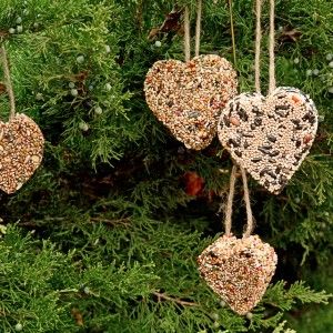 Christmas Bird Seed Cake Christmas Bird Seed Cake