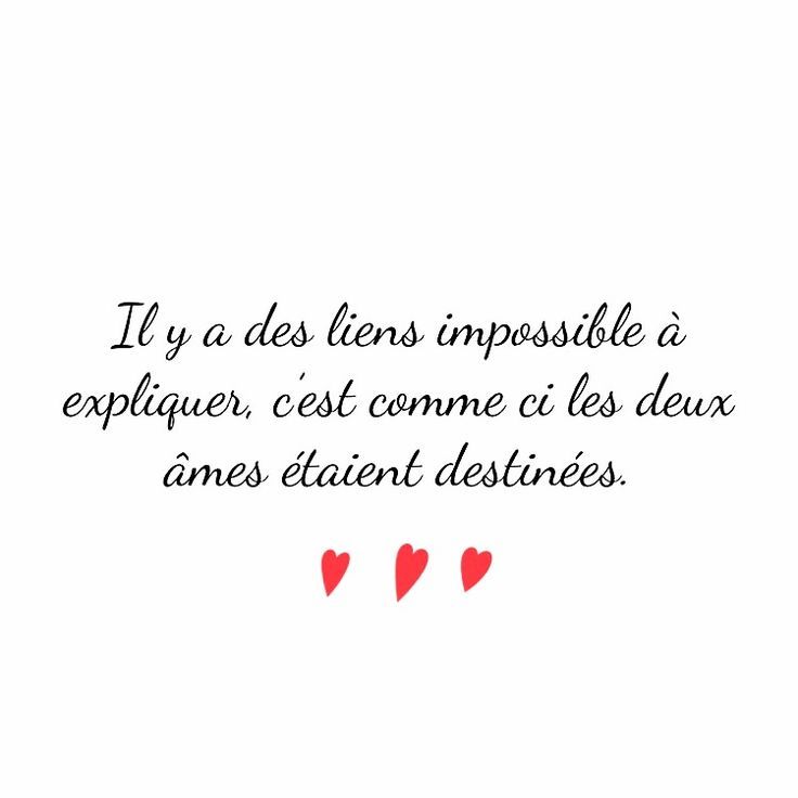 les plus beaux proverbes à partager : C'est majestueux de ressentir cela po...