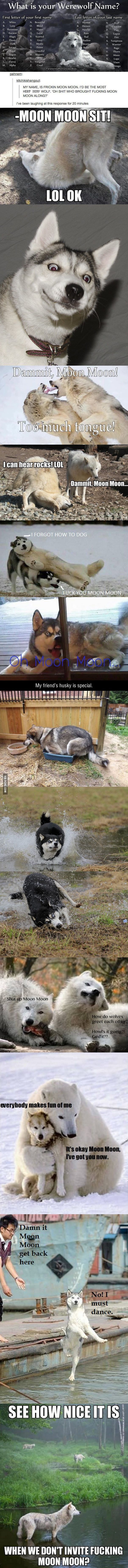 70 Best Funny Memes You Cant Resist Images On Pinterest 70 Best Funny Memes You Cant Resist Images On Pinterest
