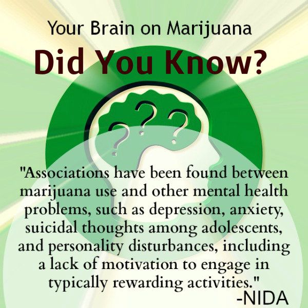 33 best marijuana facts images on pinterest crime fracture marijuana facts sheet
