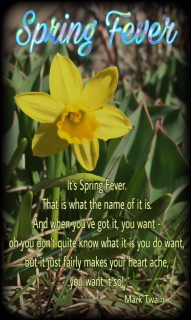 quotes about life being hard First Day of Spring! This Spring Quote from Mark Twain is my absolute favorite! It 6 quotes about life being hard First Day of Spring! This Spring Quote from Mark Twain is my absolute favorite! It 6
