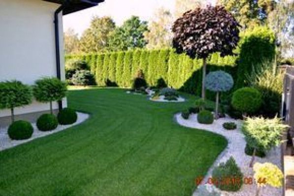 Budget Garden Ideas You Need To Know
