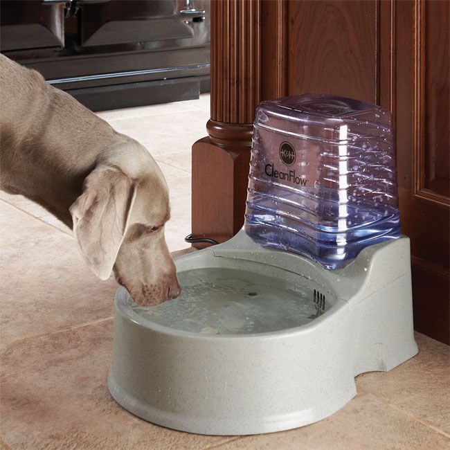 Automatic Dog Water Bowl Automatic Water Bowl Orvis Dog water 