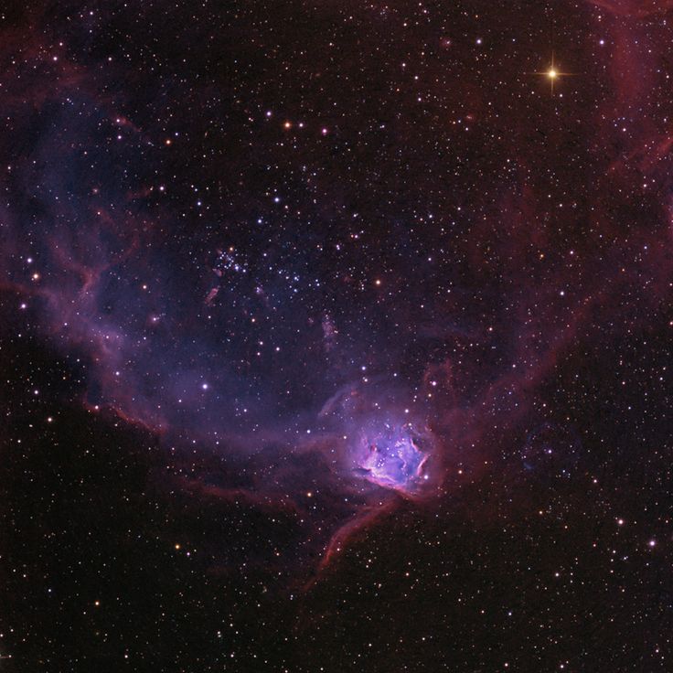 NGC 602 in the Flying Lizard Nebula (Astronomy Picture of