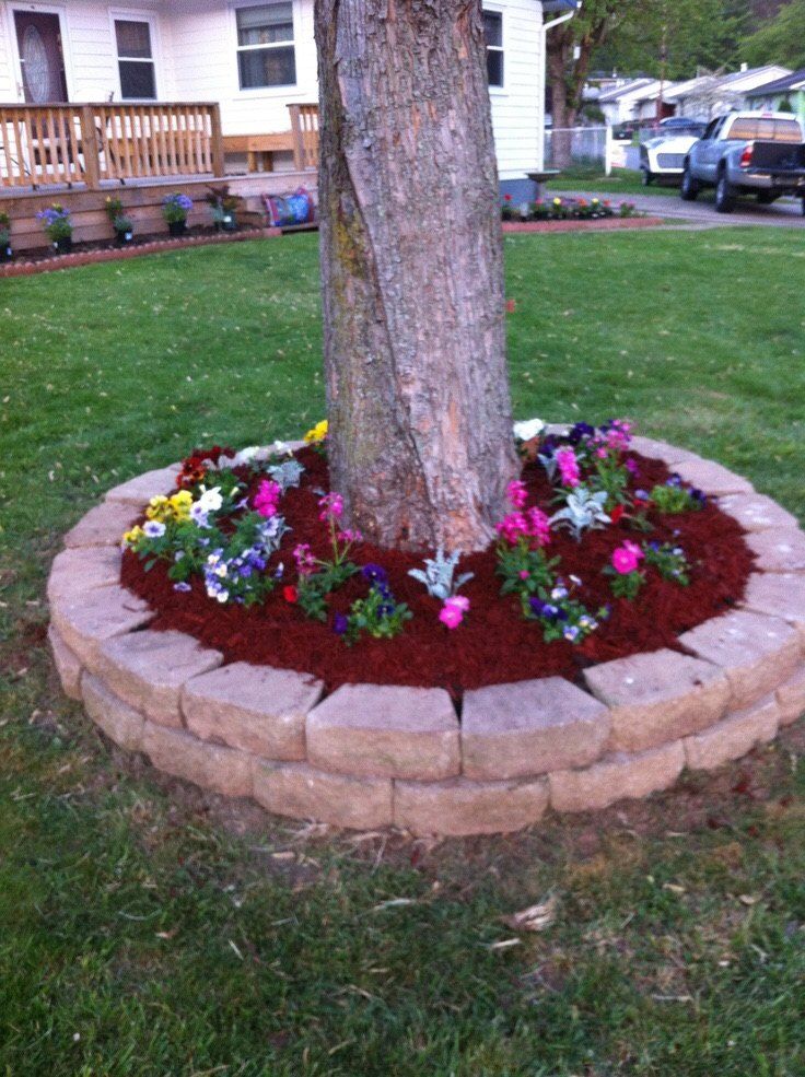Flower Garden Ideas Around Tree 25+ best tree garden ideas on pinterest | driveway landscaping Flower Garden Ideas Around Tree 25+ best tree garden ideas on pinterest | driveway landscaping