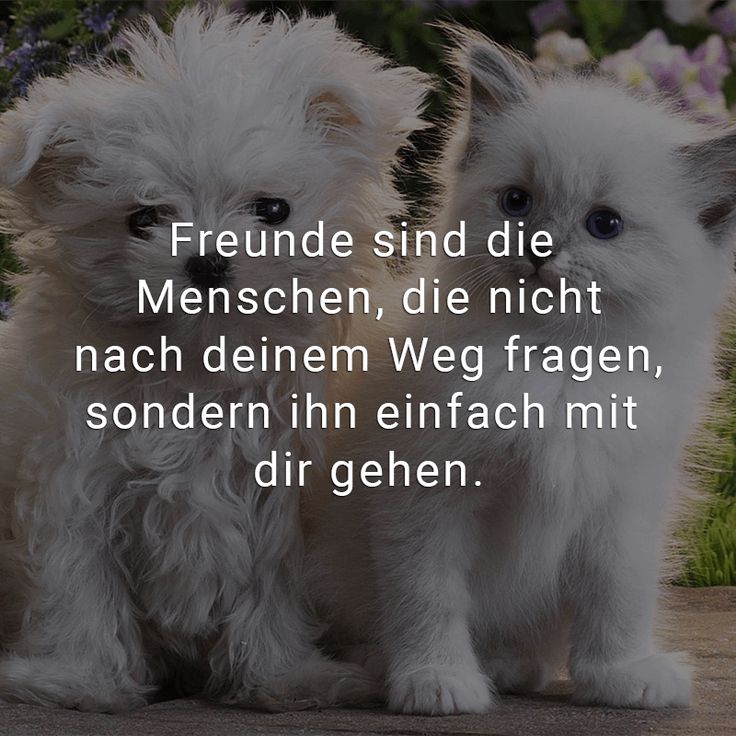 Coole Fragen An Freunde Coole Fragen An Freunde