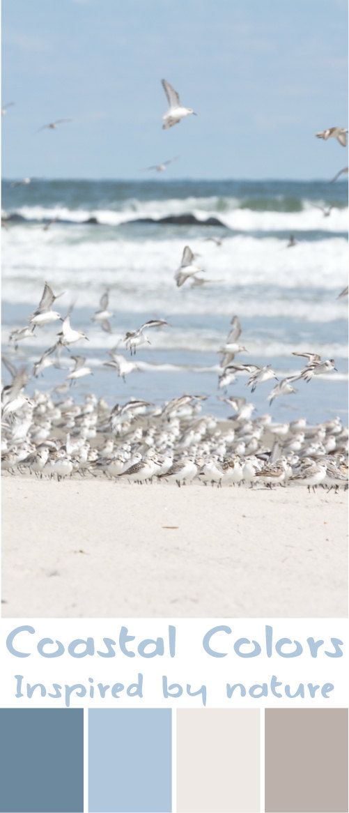 Coastal Wall Art best 20+ coastal art ideas on pinterest | coastal decor, coral Coastal Wall Art best 20+ coastal art ideas on pinterest | coastal decor, coral