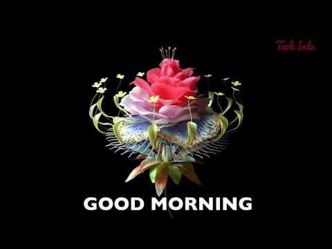 The 25+ best Krishna images ideas on Pinterest Lord krishna - l förmige küche The 25+ best Krishna images ideas on Pinterest Lord krishna - l förmige küche