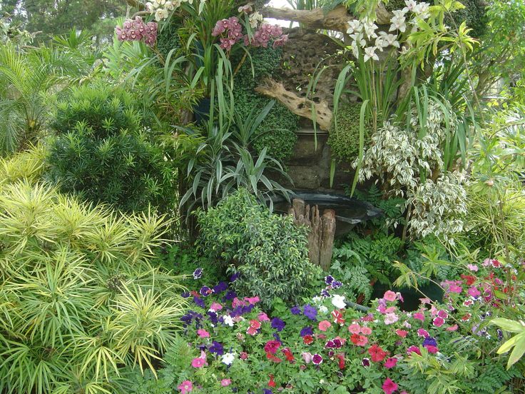 Garden Flowers Wallpaper 84 best wallpaper images on pinterest | flower wallpaper, rose Garden Flowers Wallpaper 84 best wallpaper images on pinterest | flower wallpaper, rose