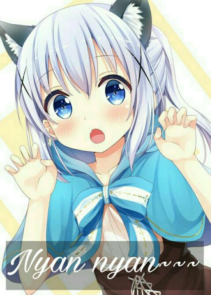 chino kafuu chino kafū