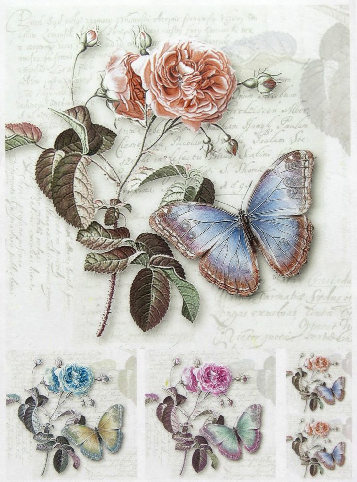 24 best rice papers march 2016 images on pinterest rice paper rice sheet