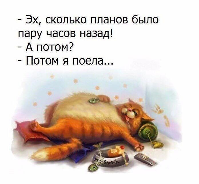 Юмор картинки про выходные с надписями, поговорки поздравляю машиной