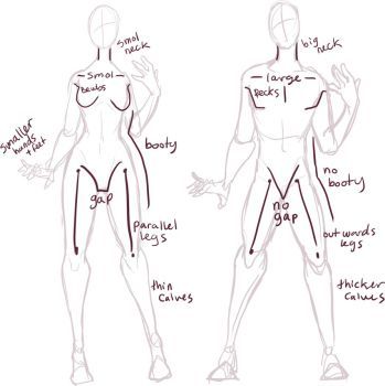 Male vs Female anatomy by Xylerz | Art reference, Art reference ...