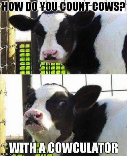 Tagged With Funny Shared By Warning Dad Joke Tagged With Funny Shared By Warning Dad Joke