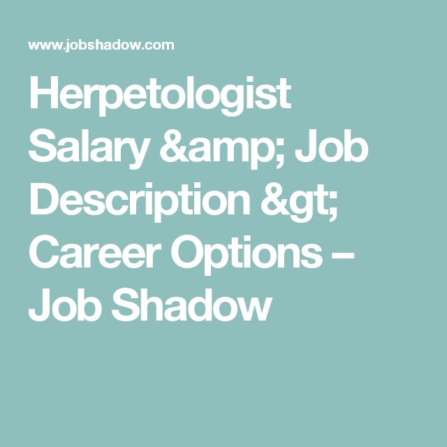 Best 25+ Marine biologist salary ideas on Pinterest Marine - marine biologist resume Best 25+ Marine biologist salary ideas on Pinterest Marine - marine biologist resume