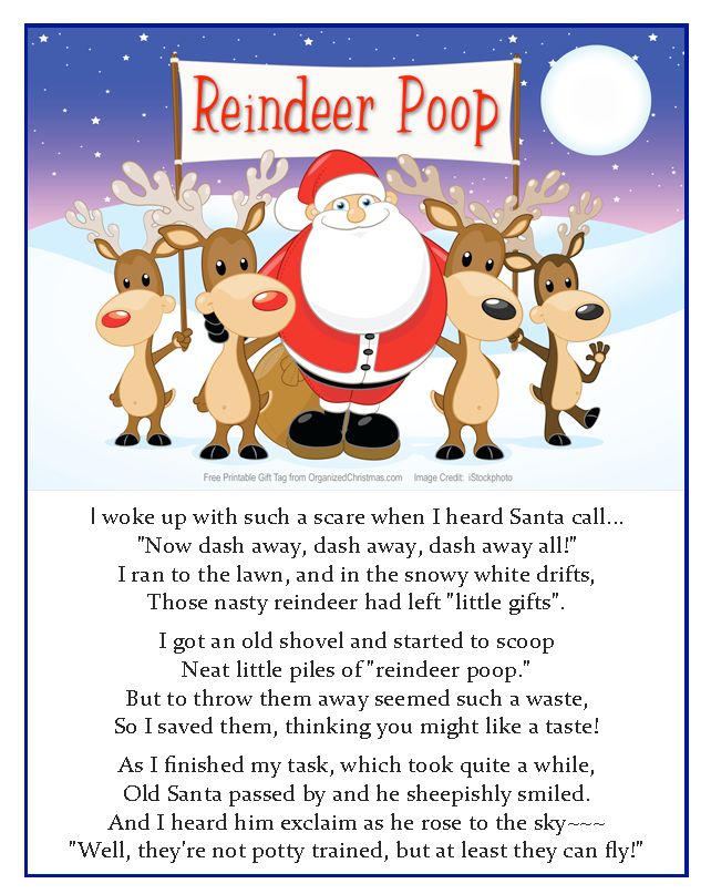 Best 25+ Reindeer poop ideas on Pinterest | Recipe for christmas goodies, Christmas sweets and ...