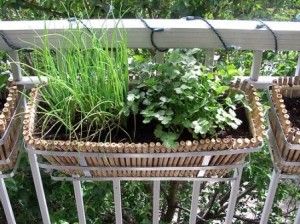 Herb Garden Ideas For A Balcony best 20+ balcony herb gardens ideas on pinterest | patio herb Herb Garden Ideas For A Balcony best 20+ balcony herb gardens ideas on pinterest | patio herb
