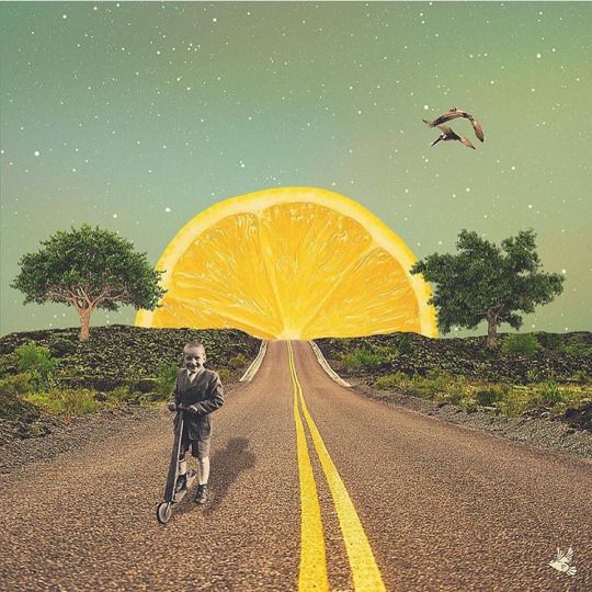 225 best Collages images on Pinterest Art collages, Collage art