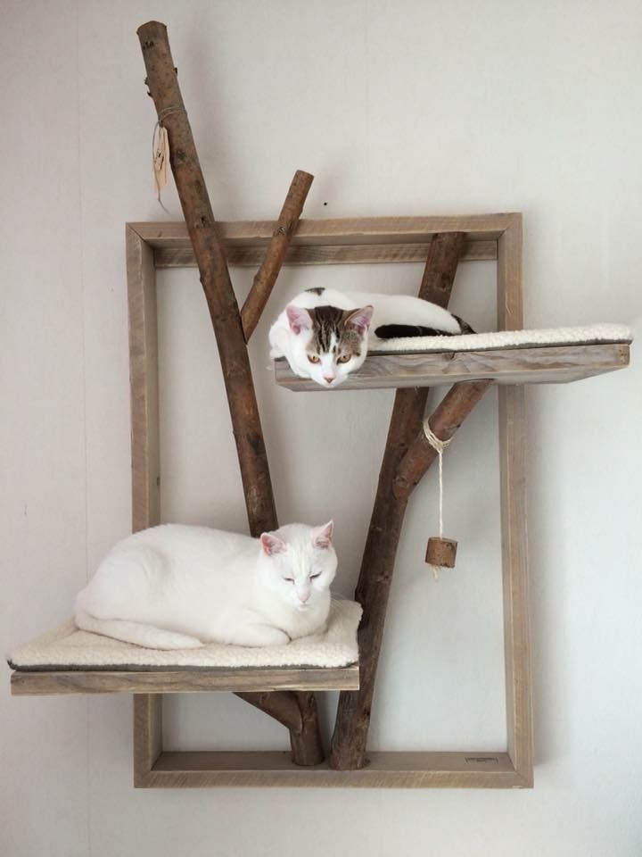 Van Krabpalen En Klimbomen Voor Katten Van Krabpalen En Klimbomen Voor Katten Katten Klimbomen Krabpalen Van V Cat Room Cat Furniture Cat Playground