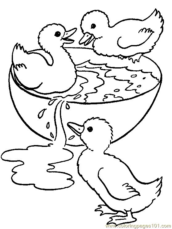 243 best dieren rond de vijver / aquarium images on pinterest ... - Aquarium Coloring Pages Printable 243 best dieren rond de vijver / aquarium images on pinterest ... - Aquarium Coloring Pages Printable