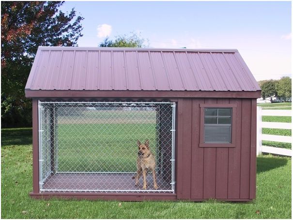 Are Dog Kennels Profitable Are Dog Kennels Profitable