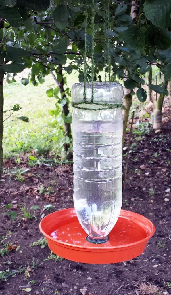 best 25 bird baths ideas on pinterest diy bird bath best 25 bird baths ideas on pinterest diy bird bath