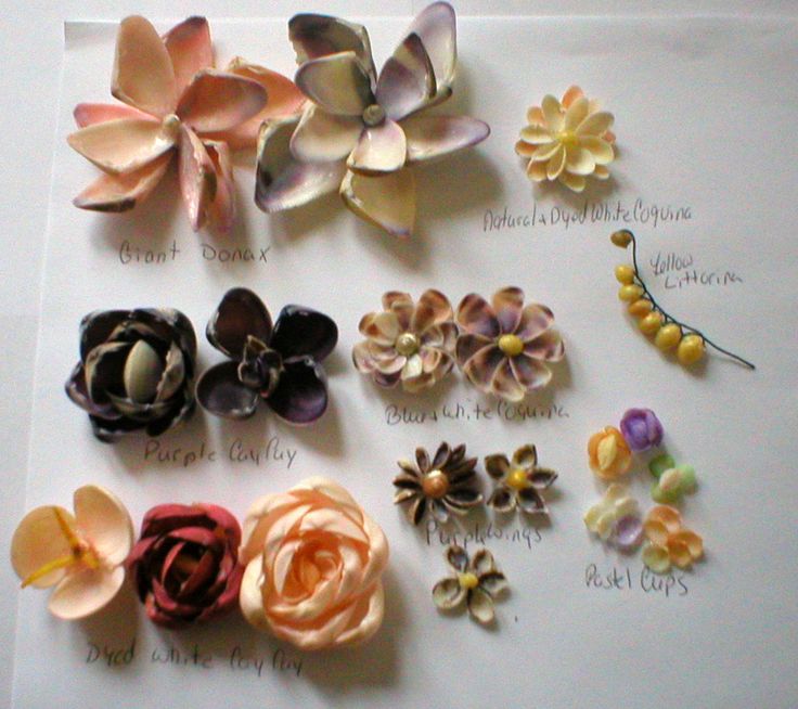 best 25 shell flowers ideas on pinterest shell art shell crafts and seashell art best 25 shell flowers ideas on pinterest shell art shell crafts and seashell art