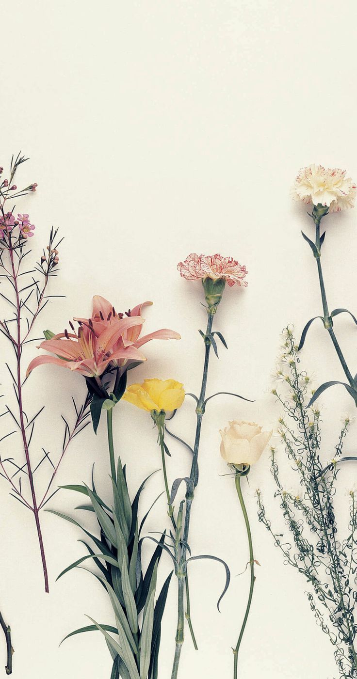 Floral Vintage Wallpaper Tumblr Vintage Flowers Wallpaper Vintage Floral Backgrounds Vintage Flower Backgrounds