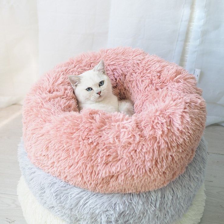 Dog bed luxury, Cat bed, Pet mattress Shape! | Heated Grumpy Cat Neck Pillow