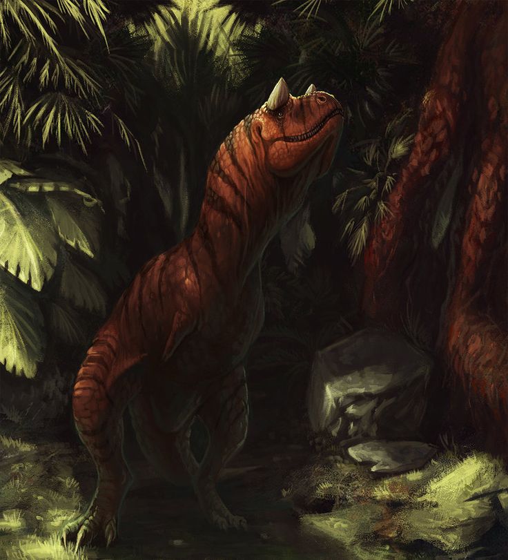 26 best ARK images on Pinterest Video games, Videogames and Ark - best of les blueprint ark 26 best ARK images on Pinterest Video games, Videogames and Ark - best of les blueprint ark