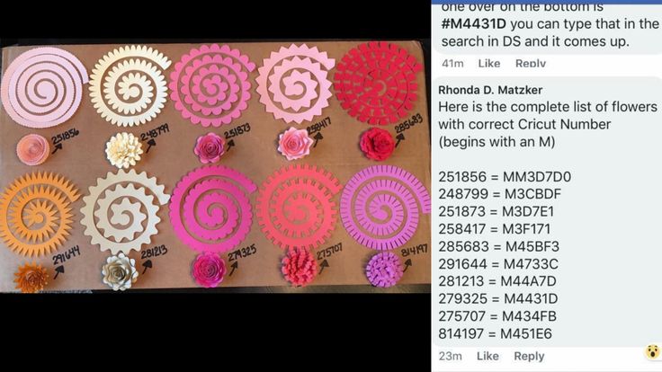 Cricut 3D flowers Flower crafts, Felt bows, Cricut crafts Cricut 3D flowers Flower crafts, Felt bows, Cricut crafts