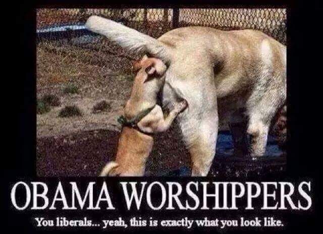 42 best Left Wing Nut-Jobs images on Pinterest Politics, Crooked - jobs that are left 42 best Left Wing Nut-Jobs images on Pinterest Politics, Crooked - jobs that are left