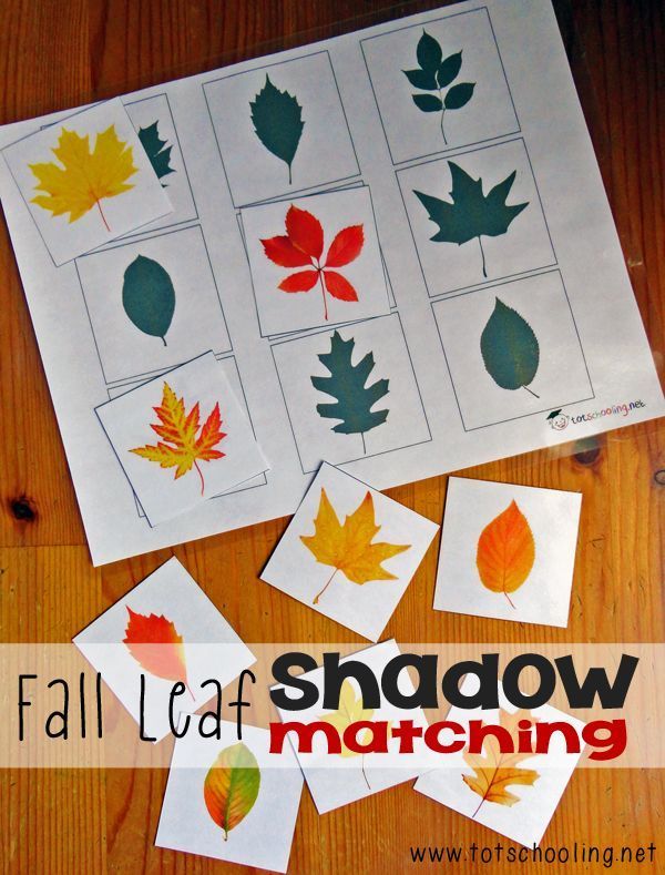 Fall Leaf Shadow Matching: Free Printable from Totschooling Autumn Activities Fo...