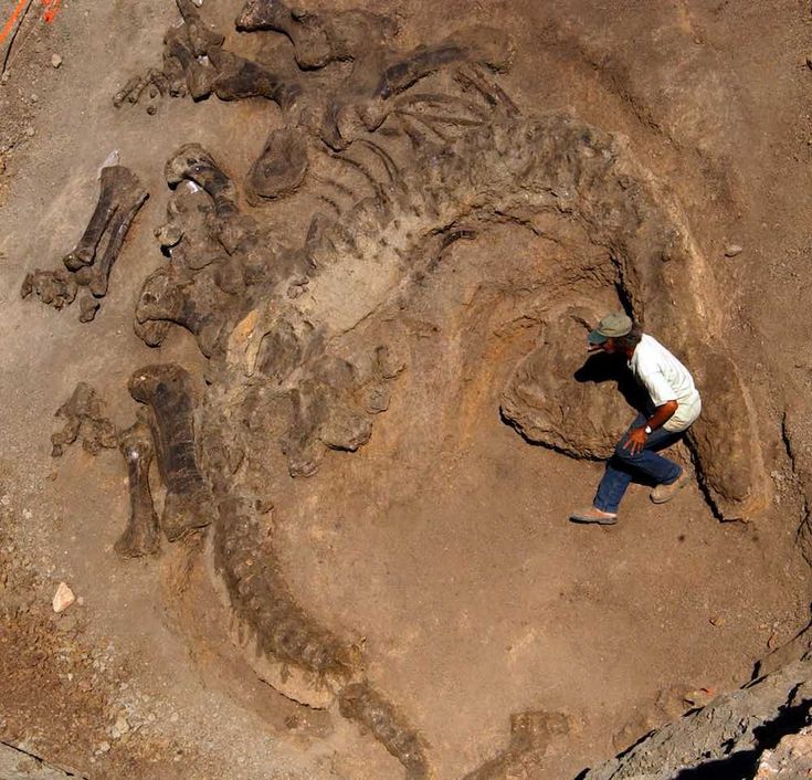 Wyoming Dinosaur Center Offers Hands on Paleontology WyoFile In 2025 wyoming-dinosaur-center-offers-hands-on-paleontology-wyofile-in-2025