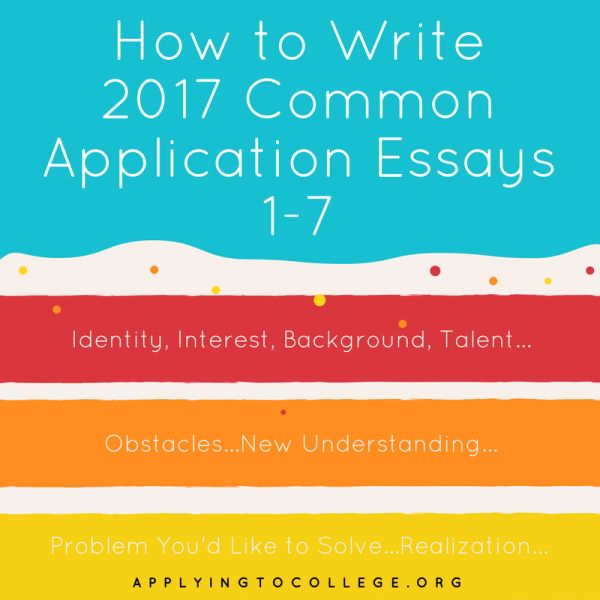 Plu admission essay