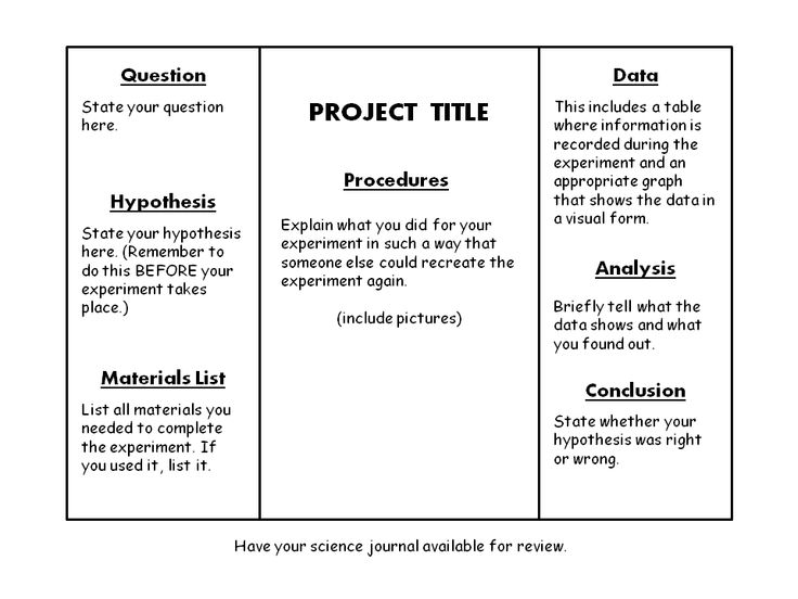 science projects layout
