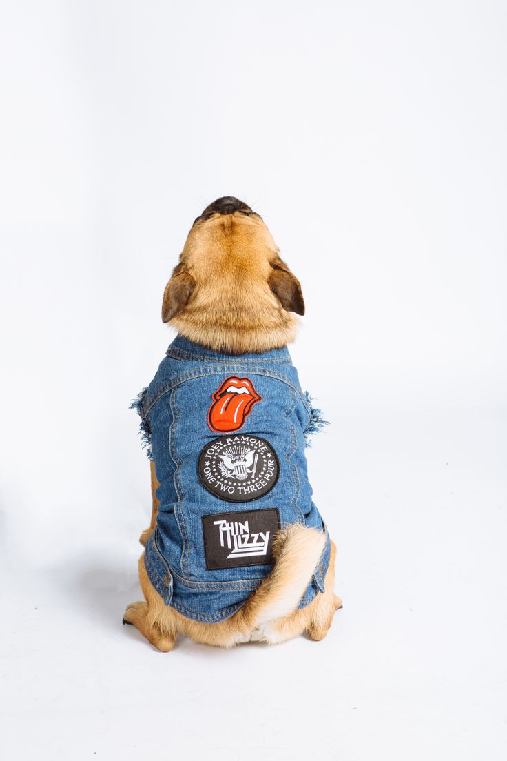 pug denim jacket denim battle jacket just look at that curly custom jackets from pug denim jacket denim battle jacket just look at that curly custom jackets from