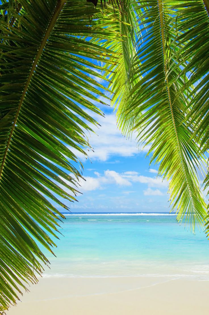 195 best tropical resort styling images on pinterest | dream 195 best tropical resort styling images on pinterest | dream