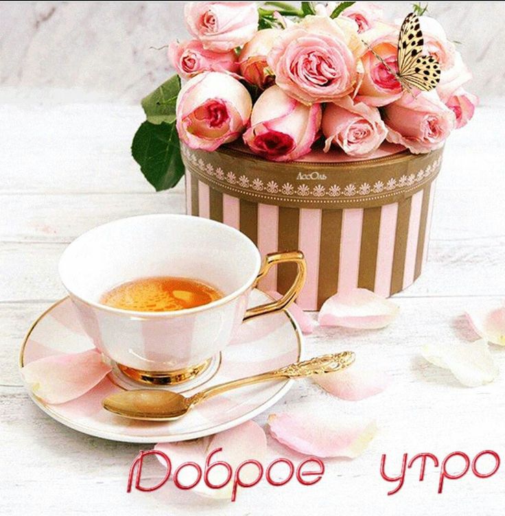 Чудесные открытки с добрым утром новым днем