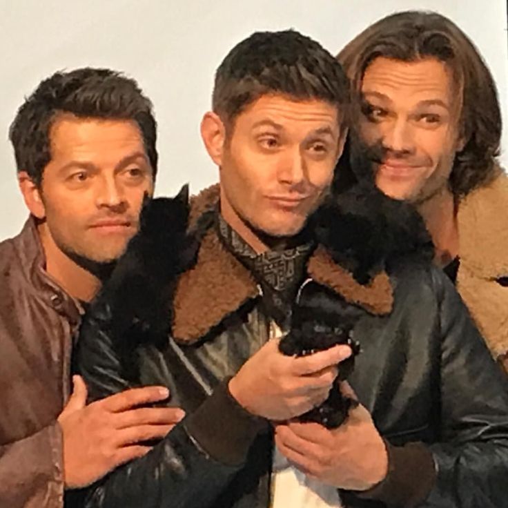 Jensen Ackles Filme Und Fernsehsendungen Jensen Ackles Filme Und Fernsehsendungen