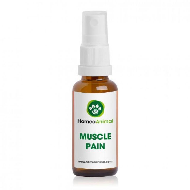 Natural Remedies For Back Pain After Delivery Natural Remedies For Back Pain After Delivery